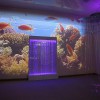 Проекционный дизайн "Виртуальная реальность" безлимитный комплект 1200 анимаций - «globural.ru» - Киров
