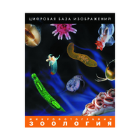 Зоология. Микрофотографии. (Цифровая база изображений) - «globural.ru» - Киров