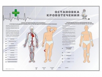 Электрифицированный стенд "Остановка кровотечения" - «globural.ru» - Киров