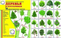 Демонстрационные карточки "Деревья и кустарники" - «globural.ru» - Киров