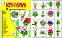 Демонстрационные карточки "Комнатные растения" - «globural.ru» - Киров