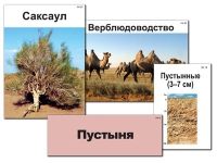 Модель-аппликация "Природные зоны России" - «globural.ru» - Киров