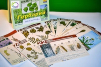 Гербарий к курсу основ общей биологии - «globural.ru» - Киров