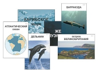 Модель-аппликация "Океаны. Знакомство" (ламинированная) - «globural.ru» - Киров