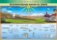 Таблица Возникновение жизни на Земле 1000*1400 винил - «globural.ru» - Киров