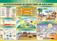 Таблица Антропогенное воздействие на биосферу 1000*700 винил - «globural.ru» - Киров