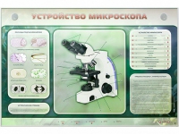 Электрифицированный стенд "Устройство микроскопа и правила работы c ним" - «globural.ru» - Киров