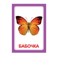 Логопедка "Ч" (логопедические карточки) - «globural.ru» - Киров