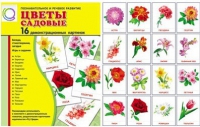Демонстрационные карточки "Цветы садовые" - «globural.ru» - Киров