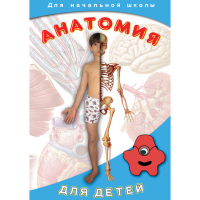 DVD  Анатомия для детей - «globural.ru» - Киров