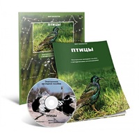Электронное наглядное пособие «Птицы» - «globural.ru» - Киров