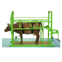 Наглядный макет «Методы и устройства для фиксации КРС» - «globural.ru» - Киров