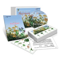 Комбинированное наглядное пособие «Растения» - «globural.ru» - Киров