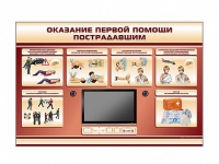 Многофункциональный интерактивный стенд-тренажер "Оказание первой помощи пострадавшим" для учащихся общеобразовательных учреждений - «globural.ru» - Киров