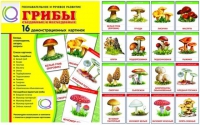 Демонстрационные карточки  "Грибы съедобные и не съедобные" - «globural.ru» - Киров