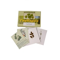 Гербарий "Деревья и кустарники" (22 вида, с иллюстрациями) - «globural.ru» - Киров