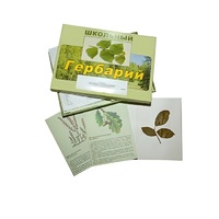 Гербарий "Дикорастущие растения" (30 видов, с иллюстрациями) - «globural.ru» - Киров
