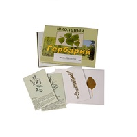 Гербарий "Лекарственные растения" (22 вида, с иллюстрациями) - «globural.ru» - Киров