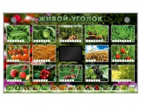 Комплект оборудования "Живой уголок" (растения) - «globural.ru» - Киров