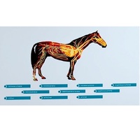 Стенд-планшет светодинамический "Изучение кровеносной системы сельскохозяйственных животных" со сменными панелями - «globural.ru» - Киров