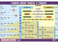 Таблица демонстрационная "Сравнение понятий изомер и гомолог" (винил 70x100) - «globural.ru» - Киров
