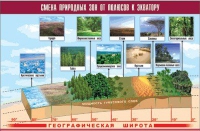 Таблица демонстрационная "Смена природных зон от полюсов к экватору" (винил 70x100) - «globural.ru» - Киров