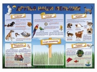 Стенд-уголок "Друзья наши меньшие" - «globural.ru» - Киров