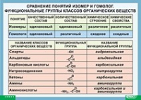 Химия. Сравнение понятий изомер и гомолог. Функциональные группы классов органических веществ (винил) - «globural.ru» - Киров