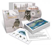 Комбинированное наглядное пособие «Животные» - «globural.ru» - Киров