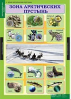Окружающий мир 4 класс (комплект таблиц) - «globural.ru» - Киров