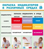 Стенд "Окраска индикаторов в различных средах" - «globural.ru» - Киров