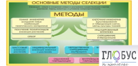 Стенд "Методы селекции и биотехнологии" - «globural.ru» - Киров