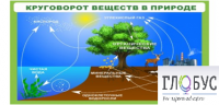 Стенд "Круговорот веществ" - «globural.ru» - Киров