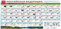 Стенд "Красная книга РФ" - «globural.ru» - Киров