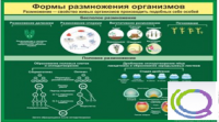 Стенд "Формы размножения организмов" - «globural.ru» - Киров
