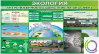 Стенд "Экология. Антропогенное воздействие на биосферу" - «globural.ru» - Киров