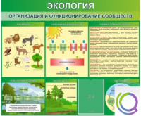 Стенд "Экология. Организация и функционирование сообществ" - «globural.ru» - Киров