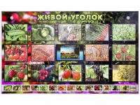 Комплект оборудования "Живой уголок" (растения) с тифлопереводом и сурдокомментариями - «globural.ru» - Киров