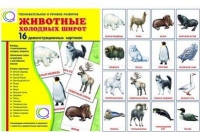 Демонстрационные карточки "Животные холодных широт" - «globural.ru» - Киров