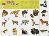 Раздаточные карточки "Дикие животные" часть 2 - «globural.ru» - Киров