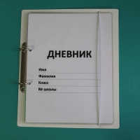Дневник школьника (с полным набором карточек) - «globural.ru» - Киров