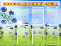 Стенд информационный с 7 карманами - «globural.ru» - Киров