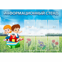 Стенд информационный с 6 карманами - «globural.ru» - Киров