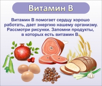 Стенд "Витамин В" - «globural.ru» - Киров
