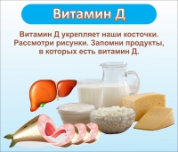 Стенд "Витамин Д" - «globural.ru» - Киров