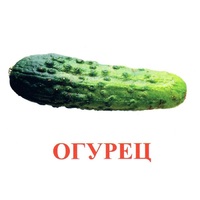 Карточки Домана "Овощи-Зелень-1" - «globural.ru» - Киров