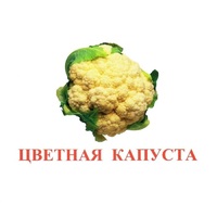 Карточки Домана "Овощи-Зелень-2" - «globural.ru» - Киров