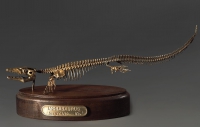 Модель скелета мозазавра Mosasaurus - «globural.ru» - Киров