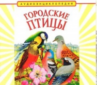 CD "Аудиоэнциклопедия. Городские птицы" - «globural.ru» - Киров