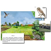 Магнитный плакат-аппликация "Поле: биоразнообразие и взаимосвязи в сообществе" - «globural.ru» - Киров
